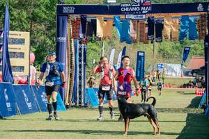 BIB: 
                            <button type="button" onclick="openModal(26629229)" class="btn btn-primary btn-sm float-right btn-popup" data-toggle="modal" data-target=".modal-high-quality">
                        <i class="fas fa-shopping-cart"></i> Add to Cart
                    </button>
                                            <button type="button" onclick="isThisMe(26629229, true)" class="btn btn-success btn-sm float-right btn-popup btn-isme hidden" data-toggle="tooltip" data-placement="bottom" title="นี่คือรูปของคุณใช่ไหม คลิกที่นี่เพื่อเอาเข้าอัลบั้ม">
                        <i class="fas fa-plus"></i> Add to album
                    </button>
                    <button type="button" onclick="isThisMe(26629229, false)" class="btn btn-warning btn-sm float-right btn-popup btn-isnotme hidden">
                        <i class="fas fa-ban"></i> Remove from album
                    </button>