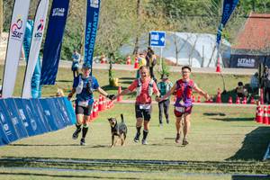 BIB: 
                            <button type="button" onclick="openModal(26629153)" class="btn btn-primary btn-sm float-right btn-popup" data-toggle="modal" data-target=".modal-high-quality">
                        <i class="fas fa-shopping-cart"></i> Add to Cart
                    </button>
                                            <button type="button" onclick="isThisMe(26629153, true)" class="btn btn-success btn-sm float-right btn-popup btn-isme hidden" data-toggle="tooltip" data-placement="bottom" title="นี่คือรูปของคุณใช่ไหม คลิกที่นี่เพื่อเอาเข้าอัลบั้ม">
                        <i class="fas fa-plus"></i> Add to album
                    </button>
                    <button type="button" onclick="isThisMe(26629153, false)" class="btn btn-warning btn-sm float-right btn-popup btn-isnotme hidden">
                        <i class="fas fa-ban"></i> Remove from album
                    </button>