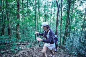 BIB: 
                            <button type="button" onclick="openModal(26644419)" class="btn btn-primary btn-sm float-right btn-popup" data-toggle="modal" data-target=".modal-high-quality">
                        <i class="fas fa-shopping-cart"></i> Add to Cart
                    </button>
                                            <button type="button" onclick="isThisMe(26644419, true)" class="btn btn-success btn-sm float-right btn-popup btn-isme hidden" data-toggle="tooltip" data-placement="bottom" title="นี่คือรูปของคุณใช่ไหม คลิกที่นี่เพื่อเอาเข้าอัลบั้ม">
                        <i class="fas fa-plus"></i> Add to album
                    </button>
                    <button type="button" onclick="isThisMe(26644419, false)" class="btn btn-warning btn-sm float-right btn-popup btn-isnotme hidden">
                        <i class="fas fa-ban"></i> Remove from album
                    </button>