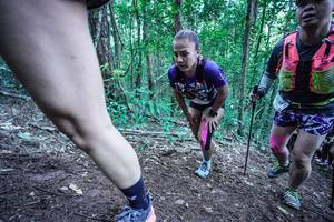 BIB: 
                            <button type="button" onclick="openModal(26641805)" class="btn btn-primary btn-sm float-right btn-popup" data-toggle="modal" data-target=".modal-high-quality">
                        <i class="fas fa-shopping-cart"></i> Add to Cart
                    </button>
                                            <button type="button" onclick="isThisMe(26641805, true)" class="btn btn-success btn-sm float-right btn-popup btn-isme hidden" data-toggle="tooltip" data-placement="bottom" title="นี่คือรูปของคุณใช่ไหม คลิกที่นี่เพื่อเอาเข้าอัลบั้ม">
                        <i class="fas fa-plus"></i> Add to album
                    </button>
                    <button type="button" onclick="isThisMe(26641805, false)" class="btn btn-warning btn-sm float-right btn-popup btn-isnotme hidden">
                        <i class="fas fa-ban"></i> Remove from album
                    </button>