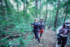 BIB: 
                            <button type="button" onclick="openModal(26662299)" class="btn btn-primary btn-sm float-right btn-popup" data-toggle="modal" data-target=".modal-high-quality">
                        <i class="fas fa-shopping-cart"></i> Add to Cart
                    </button>
                                            <button type="button" onclick="isThisMe(26662299, true)" class="btn btn-success btn-sm float-right btn-popup btn-isme hidden" data-toggle="tooltip" data-placement="bottom" title="นี่คือรูปของคุณใช่ไหม คลิกที่นี่เพื่อเอาเข้าอัลบั้ม">
                        <i class="fas fa-plus"></i> Add to album
                    </button>
                    <button type="button" onclick="isThisMe(26662299, false)" class="btn btn-warning btn-sm float-right btn-popup btn-isnotme hidden">
                        <i class="fas fa-ban"></i> Remove from album
                    </button>