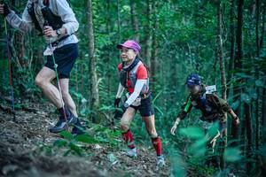 BIB: 
                            <button type="button" onclick="openModal(26639512)" class="btn btn-primary btn-sm float-right btn-popup" data-toggle="modal" data-target=".modal-high-quality">
                        <i class="fas fa-shopping-cart"></i> Add to Cart
                    </button>
                                            <button type="button" onclick="isThisMe(26639512, true)" class="btn btn-success btn-sm float-right btn-popup btn-isme hidden" data-toggle="tooltip" data-placement="bottom" title="นี่คือรูปของคุณใช่ไหม คลิกที่นี่เพื่อเอาเข้าอัลบั้ม">
                        <i class="fas fa-plus"></i> Add to album
                    </button>
                    <button type="button" onclick="isThisMe(26639512, false)" class="btn btn-warning btn-sm float-right btn-popup btn-isnotme hidden">
                        <i class="fas fa-ban"></i> Remove from album
                    </button>