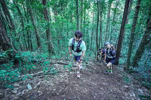 BIB: 
                            <button type="button" onclick="openModal(26655130)" class="btn btn-primary btn-sm float-right btn-popup" data-toggle="modal" data-target=".modal-high-quality">
                        <i class="fas fa-shopping-cart"></i> Add to Cart
                    </button>
                                            <button type="button" onclick="isThisMe(26655130, true)" class="btn btn-success btn-sm float-right btn-popup btn-isme hidden" data-toggle="tooltip" data-placement="bottom" title="นี่คือรูปของคุณใช่ไหม คลิกที่นี่เพื่อเอาเข้าอัลบั้ม">
                        <i class="fas fa-plus"></i> Add to album
                    </button>
                    <button type="button" onclick="isThisMe(26655130, false)" class="btn btn-warning btn-sm float-right btn-popup btn-isnotme hidden">
                        <i class="fas fa-ban"></i> Remove from album
                    </button>