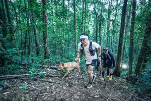 BIB: 
                            <button type="button" onclick="openModal(26651308)" class="btn btn-primary btn-sm float-right btn-popup" data-toggle="modal" data-target=".modal-high-quality">
                        <i class="fas fa-shopping-cart"></i> Add to Cart
                    </button>
                                            <button type="button" onclick="isThisMe(26651308, true)" class="btn btn-success btn-sm float-right btn-popup btn-isme hidden" data-toggle="tooltip" data-placement="bottom" title="นี่คือรูปของคุณใช่ไหม คลิกที่นี่เพื่อเอาเข้าอัลบั้ม">
                        <i class="fas fa-plus"></i> Add to album
                    </button>
                    <button type="button" onclick="isThisMe(26651308, false)" class="btn btn-warning btn-sm float-right btn-popup btn-isnotme hidden">
                        <i class="fas fa-ban"></i> Remove from album
                    </button>