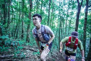 BIB: 
                            <button type="button" onclick="openModal(26652286)" class="btn btn-primary btn-sm float-right btn-popup" data-toggle="modal" data-target=".modal-high-quality">
                        <i class="fas fa-shopping-cart"></i> Add to Cart
                    </button>
                                            <button type="button" onclick="isThisMe(26652286, true)" class="btn btn-success btn-sm float-right btn-popup btn-isme hidden" data-toggle="tooltip" data-placement="bottom" title="นี่คือรูปของคุณใช่ไหม คลิกที่นี่เพื่อเอาเข้าอัลบั้ม">
                        <i class="fas fa-plus"></i> Add to album
                    </button>
                    <button type="button" onclick="isThisMe(26652286, false)" class="btn btn-warning btn-sm float-right btn-popup btn-isnotme hidden">
                        <i class="fas fa-ban"></i> Remove from album
                    </button>