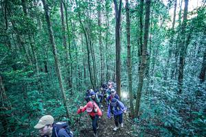 BIB: 
                            <button type="button" onclick="openModal(26663436)" class="btn btn-primary btn-sm float-right btn-popup" data-toggle="modal" data-target=".modal-high-quality">
                        <i class="fas fa-shopping-cart"></i> Add to Cart
                    </button>
                                            <button type="button" onclick="isThisMe(26663436, true)" class="btn btn-success btn-sm float-right btn-popup btn-isme hidden" data-toggle="tooltip" data-placement="bottom" title="นี่คือรูปของคุณใช่ไหม คลิกที่นี่เพื่อเอาเข้าอัลบั้ม">
                        <i class="fas fa-plus"></i> Add to album
                    </button>
                    <button type="button" onclick="isThisMe(26663436, false)" class="btn btn-warning btn-sm float-right btn-popup btn-isnotme hidden">
                        <i class="fas fa-ban"></i> Remove from album
                    </button>