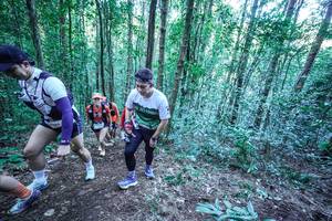 BIB: 
                            <button type="button" onclick="openModal(26646253)" class="btn btn-primary btn-sm float-right btn-popup" data-toggle="modal" data-target=".modal-high-quality">
                        <i class="fas fa-shopping-cart"></i> Add to Cart
                    </button>
                                            <button type="button" onclick="isThisMe(26646253, true)" class="btn btn-success btn-sm float-right btn-popup btn-isme hidden" data-toggle="tooltip" data-placement="bottom" title="นี่คือรูปของคุณใช่ไหม คลิกที่นี่เพื่อเอาเข้าอัลบั้ม">
                        <i class="fas fa-plus"></i> Add to album
                    </button>
                    <button type="button" onclick="isThisMe(26646253, false)" class="btn btn-warning btn-sm float-right btn-popup btn-isnotme hidden">
                        <i class="fas fa-ban"></i> Remove from album
                    </button>