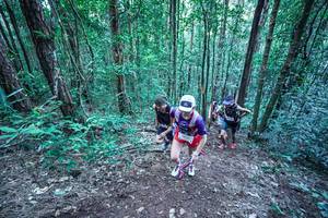 BIB: 
                            <button type="button" onclick="openModal(26639917)" class="btn btn-primary btn-sm float-right btn-popup" data-toggle="modal" data-target=".modal-high-quality">
                        <i class="fas fa-shopping-cart"></i> Add to Cart
                    </button>
                                            <button type="button" onclick="isThisMe(26639917, true)" class="btn btn-success btn-sm float-right btn-popup btn-isme hidden" data-toggle="tooltip" data-placement="bottom" title="นี่คือรูปของคุณใช่ไหม คลิกที่นี่เพื่อเอาเข้าอัลบั้ม">
                        <i class="fas fa-plus"></i> Add to album
                    </button>
                    <button type="button" onclick="isThisMe(26639917, false)" class="btn btn-warning btn-sm float-right btn-popup btn-isnotme hidden">
                        <i class="fas fa-ban"></i> Remove from album
                    </button>