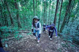 BIB: 
                            <button type="button" onclick="openModal(26646406)" class="btn btn-primary btn-sm float-right btn-popup" data-toggle="modal" data-target=".modal-high-quality">
                        <i class="fas fa-shopping-cart"></i> Add to Cart
                    </button>
                                            <button type="button" onclick="isThisMe(26646406, true)" class="btn btn-success btn-sm float-right btn-popup btn-isme hidden" data-toggle="tooltip" data-placement="bottom" title="นี่คือรูปของคุณใช่ไหม คลิกที่นี่เพื่อเอาเข้าอัลบั้ม">
                        <i class="fas fa-plus"></i> Add to album
                    </button>
                    <button type="button" onclick="isThisMe(26646406, false)" class="btn btn-warning btn-sm float-right btn-popup btn-isnotme hidden">
                        <i class="fas fa-ban"></i> Remove from album
                    </button>