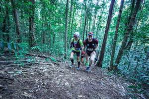 BIB: 
                            <button type="button" onclick="openModal(26639462)" class="btn btn-primary btn-sm float-right btn-popup" data-toggle="modal" data-target=".modal-high-quality">
                        <i class="fas fa-shopping-cart"></i> Add to Cart
                    </button>
                                            <button type="button" onclick="isThisMe(26639462, true)" class="btn btn-success btn-sm float-right btn-popup btn-isme hidden" data-toggle="tooltip" data-placement="bottom" title="นี่คือรูปของคุณใช่ไหม คลิกที่นี่เพื่อเอาเข้าอัลบั้ม">
                        <i class="fas fa-plus"></i> Add to album
                    </button>
                    <button type="button" onclick="isThisMe(26639462, false)" class="btn btn-warning btn-sm float-right btn-popup btn-isnotme hidden">
                        <i class="fas fa-ban"></i> Remove from album
                    </button>