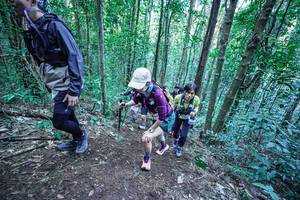 BIB: 
                            <button type="button" onclick="openModal(26661233)" class="btn btn-primary btn-sm float-right btn-popup" data-toggle="modal" data-target=".modal-high-quality">
                        <i class="fas fa-shopping-cart"></i> Add to Cart
                    </button>
                                            <button type="button" onclick="isThisMe(26661233, true)" class="btn btn-success btn-sm float-right btn-popup btn-isme hidden" data-toggle="tooltip" data-placement="bottom" title="นี่คือรูปของคุณใช่ไหม คลิกที่นี่เพื่อเอาเข้าอัลบั้ม">
                        <i class="fas fa-plus"></i> Add to album
                    </button>
                    <button type="button" onclick="isThisMe(26661233, false)" class="btn btn-warning btn-sm float-right btn-popup btn-isnotme hidden">
                        <i class="fas fa-ban"></i> Remove from album
                    </button>