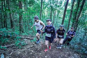 BIB: 
                            <button type="button" onclick="openModal(26650798)" class="btn btn-primary btn-sm float-right btn-popup" data-toggle="modal" data-target=".modal-high-quality">
                        <i class="fas fa-shopping-cart"></i> Add to Cart
                    </button>
                                            <button type="button" onclick="isThisMe(26650798, true)" class="btn btn-success btn-sm float-right btn-popup btn-isme hidden" data-toggle="tooltip" data-placement="bottom" title="นี่คือรูปของคุณใช่ไหม คลิกที่นี่เพื่อเอาเข้าอัลบั้ม">
                        <i class="fas fa-plus"></i> Add to album
                    </button>
                    <button type="button" onclick="isThisMe(26650798, false)" class="btn btn-warning btn-sm float-right btn-popup btn-isnotme hidden">
                        <i class="fas fa-ban"></i> Remove from album
                    </button>