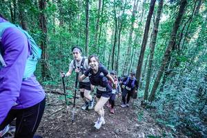 BIB: 
                            <button type="button" onclick="openModal(26655754)" class="btn btn-primary btn-sm float-right btn-popup" data-toggle="modal" data-target=".modal-high-quality">
                        <i class="fas fa-shopping-cart"></i> Add to Cart
                    </button>
                                            <button type="button" onclick="isThisMe(26655754, true)" class="btn btn-success btn-sm float-right btn-popup btn-isme hidden" data-toggle="tooltip" data-placement="bottom" title="นี่คือรูปของคุณใช่ไหม คลิกที่นี่เพื่อเอาเข้าอัลบั้ม">
                        <i class="fas fa-plus"></i> Add to album
                    </button>
                    <button type="button" onclick="isThisMe(26655754, false)" class="btn btn-warning btn-sm float-right btn-popup btn-isnotme hidden">
                        <i class="fas fa-ban"></i> Remove from album
                    </button>