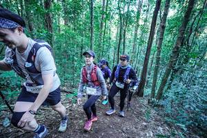 BIB: 
                            <button type="button" onclick="openModal(26655808)" class="btn btn-primary btn-sm float-right btn-popup" data-toggle="modal" data-target=".modal-high-quality">
                        <i class="fas fa-shopping-cart"></i> Add to Cart
                    </button>
                                            <button type="button" onclick="isThisMe(26655808, true)" class="btn btn-success btn-sm float-right btn-popup btn-isme hidden" data-toggle="tooltip" data-placement="bottom" title="นี่คือรูปของคุณใช่ไหม คลิกที่นี่เพื่อเอาเข้าอัลบั้ม">
                        <i class="fas fa-plus"></i> Add to album
                    </button>
                    <button type="button" onclick="isThisMe(26655808, false)" class="btn btn-warning btn-sm float-right btn-popup btn-isnotme hidden">
                        <i class="fas fa-ban"></i> Remove from album
                    </button>