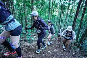 BIB: 
                            <button type="button" onclick="openModal(26646624)" class="btn btn-primary btn-sm float-right btn-popup" data-toggle="modal" data-target=".modal-high-quality">
                        <i class="fas fa-shopping-cart"></i> Add to Cart
                    </button>
                                            <button type="button" onclick="isThisMe(26646624, true)" class="btn btn-success btn-sm float-right btn-popup btn-isme hidden" data-toggle="tooltip" data-placement="bottom" title="นี่คือรูปของคุณใช่ไหม คลิกที่นี่เพื่อเอาเข้าอัลบั้ม">
                        <i class="fas fa-plus"></i> Add to album
                    </button>
                    <button type="button" onclick="isThisMe(26646624, false)" class="btn btn-warning btn-sm float-right btn-popup btn-isnotme hidden">
                        <i class="fas fa-ban"></i> Remove from album
                    </button>