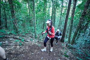 BIB: 
                            <button type="button" onclick="openModal(26661921)" class="btn btn-primary btn-sm float-right btn-popup" data-toggle="modal" data-target=".modal-high-quality">
                        <i class="fas fa-shopping-cart"></i> Add to Cart
                    </button>
                                            <button type="button" onclick="isThisMe(26661921, true)" class="btn btn-success btn-sm float-right btn-popup btn-isme hidden" data-toggle="tooltip" data-placement="bottom" title="นี่คือรูปของคุณใช่ไหม คลิกที่นี่เพื่อเอาเข้าอัลบั้ม">
                        <i class="fas fa-plus"></i> Add to album
                    </button>
                    <button type="button" onclick="isThisMe(26661921, false)" class="btn btn-warning btn-sm float-right btn-popup btn-isnotme hidden">
                        <i class="fas fa-ban"></i> Remove from album
                    </button>