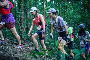 BIB: 
                            <button type="button" onclick="openModal(26640193)" class="btn btn-primary btn-sm float-right btn-popup" data-toggle="modal" data-target=".modal-high-quality">
                        <i class="fas fa-shopping-cart"></i> Add to Cart
                    </button>
                                            <button type="button" onclick="isThisMe(26640193, true)" class="btn btn-success btn-sm float-right btn-popup btn-isme hidden" data-toggle="tooltip" data-placement="bottom" title="นี่คือรูปของคุณใช่ไหม คลิกที่นี่เพื่อเอาเข้าอัลบั้ม">
                        <i class="fas fa-plus"></i> Add to album
                    </button>
                    <button type="button" onclick="isThisMe(26640193, false)" class="btn btn-warning btn-sm float-right btn-popup btn-isnotme hidden">
                        <i class="fas fa-ban"></i> Remove from album
                    </button>