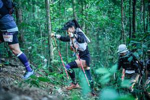 BIB: 
                            <button type="button" onclick="openModal(26644519)" class="btn btn-primary btn-sm float-right btn-popup" data-toggle="modal" data-target=".modal-high-quality">
                        <i class="fas fa-shopping-cart"></i> Add to Cart
                    </button>
                                            <button type="button" onclick="isThisMe(26644519, true)" class="btn btn-success btn-sm float-right btn-popup btn-isme hidden" data-toggle="tooltip" data-placement="bottom" title="นี่คือรูปของคุณใช่ไหม คลิกที่นี่เพื่อเอาเข้าอัลบั้ม">
                        <i class="fas fa-plus"></i> Add to album
                    </button>
                    <button type="button" onclick="isThisMe(26644519, false)" class="btn btn-warning btn-sm float-right btn-popup btn-isnotme hidden">
                        <i class="fas fa-ban"></i> Remove from album
                    </button>