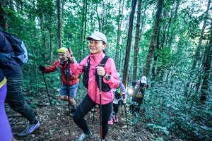 BIB: 
                            <button type="button" onclick="openModal(26661702)" class="btn btn-primary btn-sm float-right btn-popup" data-toggle="modal" data-target=".modal-high-quality">
                        <i class="fas fa-shopping-cart"></i> Add to Cart
                    </button>
                                            <button type="button" onclick="isThisMe(26661702, true)" class="btn btn-success btn-sm float-right btn-popup btn-isme hidden" data-toggle="tooltip" data-placement="bottom" title="นี่คือรูปของคุณใช่ไหม คลิกที่นี่เพื่อเอาเข้าอัลบั้ม">
                        <i class="fas fa-plus"></i> Add to album
                    </button>
                    <button type="button" onclick="isThisMe(26661702, false)" class="btn btn-warning btn-sm float-right btn-popup btn-isnotme hidden">
                        <i class="fas fa-ban"></i> Remove from album
                    </button>