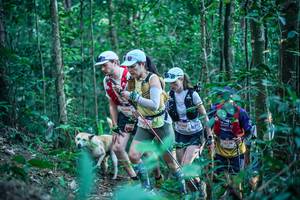 BIB: 
                            <button type="button" onclick="openModal(26640910)" class="btn btn-primary btn-sm float-right btn-popup" data-toggle="modal" data-target=".modal-high-quality">
                        <i class="fas fa-shopping-cart"></i> Add to Cart
                    </button>
                                            <button type="button" onclick="isThisMe(26640910, true)" class="btn btn-success btn-sm float-right btn-popup btn-isme hidden" data-toggle="tooltip" data-placement="bottom" title="นี่คือรูปของคุณใช่ไหม คลิกที่นี่เพื่อเอาเข้าอัลบั้ม">
                        <i class="fas fa-plus"></i> Add to album
                    </button>
                    <button type="button" onclick="isThisMe(26640910, false)" class="btn btn-warning btn-sm float-right btn-popup btn-isnotme hidden">
                        <i class="fas fa-ban"></i> Remove from album
                    </button>