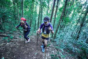 BIB: 
                            <button type="button" onclick="openModal(26657294)" class="btn btn-primary btn-sm float-right btn-popup" data-toggle="modal" data-target=".modal-high-quality">
                        <i class="fas fa-shopping-cart"></i> Add to Cart
                    </button>
                                            <button type="button" onclick="isThisMe(26657294, true)" class="btn btn-success btn-sm float-right btn-popup btn-isme hidden" data-toggle="tooltip" data-placement="bottom" title="นี่คือรูปของคุณใช่ไหม คลิกที่นี่เพื่อเอาเข้าอัลบั้ม">
                        <i class="fas fa-plus"></i> Add to album
                    </button>
                    <button type="button" onclick="isThisMe(26657294, false)" class="btn btn-warning btn-sm float-right btn-popup btn-isnotme hidden">
                        <i class="fas fa-ban"></i> Remove from album
                    </button>