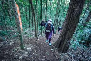 BIB: 
                            <button type="button" onclick="openModal(26662057)" class="btn btn-primary btn-sm float-right btn-popup" data-toggle="modal" data-target=".modal-high-quality">
                        <i class="fas fa-shopping-cart"></i> Add to Cart
                    </button>
                                            <button type="button" onclick="isThisMe(26662057, true)" class="btn btn-success btn-sm float-right btn-popup btn-isme hidden" data-toggle="tooltip" data-placement="bottom" title="นี่คือรูปของคุณใช่ไหม คลิกที่นี่เพื่อเอาเข้าอัลบั้ม">
                        <i class="fas fa-plus"></i> Add to album
                    </button>
                    <button type="button" onclick="isThisMe(26662057, false)" class="btn btn-warning btn-sm float-right btn-popup btn-isnotme hidden">
                        <i class="fas fa-ban"></i> Remove from album
                    </button>