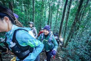 BIB: 
                            <button type="button" onclick="openModal(26663343)" class="btn btn-primary btn-sm float-right btn-popup" data-toggle="modal" data-target=".modal-high-quality">
                        <i class="fas fa-shopping-cart"></i> Add to Cart
                    </button>
                                            <button type="button" onclick="isThisMe(26663343, true)" class="btn btn-success btn-sm float-right btn-popup btn-isme hidden" data-toggle="tooltip" data-placement="bottom" title="นี่คือรูปของคุณใช่ไหม คลิกที่นี่เพื่อเอาเข้าอัลบั้ม">
                        <i class="fas fa-plus"></i> Add to album
                    </button>
                    <button type="button" onclick="isThisMe(26663343, false)" class="btn btn-warning btn-sm float-right btn-popup btn-isnotme hidden">
                        <i class="fas fa-ban"></i> Remove from album
                    </button>