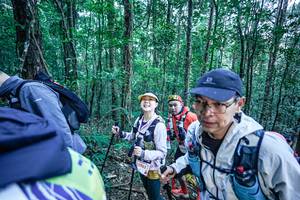 BIB: 
                            <button type="button" onclick="openModal(26663850)" class="btn btn-primary btn-sm float-right btn-popup" data-toggle="modal" data-target=".modal-high-quality">
                        <i class="fas fa-shopping-cart"></i> Add to Cart
                    </button>
                                            <button type="button" onclick="isThisMe(26663850, true)" class="btn btn-success btn-sm float-right btn-popup btn-isme hidden" data-toggle="tooltip" data-placement="bottom" title="นี่คือรูปของคุณใช่ไหม คลิกที่นี่เพื่อเอาเข้าอัลบั้ม">
                        <i class="fas fa-plus"></i> Add to album
                    </button>
                    <button type="button" onclick="isThisMe(26663850, false)" class="btn btn-warning btn-sm float-right btn-popup btn-isnotme hidden">
                        <i class="fas fa-ban"></i> Remove from album
                    </button>