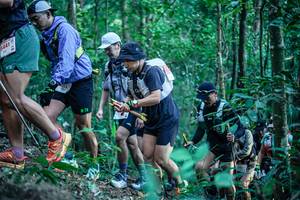 BIB: 
                            <button type="button" onclick="openModal(26641660)" class="btn btn-primary btn-sm float-right btn-popup" data-toggle="modal" data-target=".modal-high-quality">
                        <i class="fas fa-shopping-cart"></i> Add to Cart
                    </button>
                                            <button type="button" onclick="isThisMe(26641660, true)" class="btn btn-success btn-sm float-right btn-popup btn-isme hidden" data-toggle="tooltip" data-placement="bottom" title="นี่คือรูปของคุณใช่ไหม คลิกที่นี่เพื่อเอาเข้าอัลบั้ม">
                        <i class="fas fa-plus"></i> Add to album
                    </button>
                    <button type="button" onclick="isThisMe(26641660, false)" class="btn btn-warning btn-sm float-right btn-popup btn-isnotme hidden">
                        <i class="fas fa-ban"></i> Remove from album
                    </button>