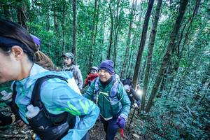 BIB: 
                            <button type="button" onclick="openModal(26663353)" class="btn btn-primary btn-sm float-right btn-popup" data-toggle="modal" data-target=".modal-high-quality">
                        <i class="fas fa-shopping-cart"></i> Add to Cart
                    </button>
                                            <button type="button" onclick="isThisMe(26663353, true)" class="btn btn-success btn-sm float-right btn-popup btn-isme hidden" data-toggle="tooltip" data-placement="bottom" title="นี่คือรูปของคุณใช่ไหม คลิกที่นี่เพื่อเอาเข้าอัลบั้ม">
                        <i class="fas fa-plus"></i> Add to album
                    </button>
                    <button type="button" onclick="isThisMe(26663353, false)" class="btn btn-warning btn-sm float-right btn-popup btn-isnotme hidden">
                        <i class="fas fa-ban"></i> Remove from album
                    </button>