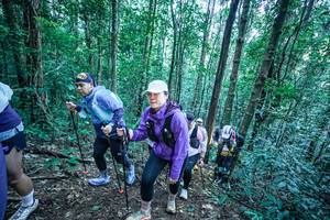 BIB: 
                            <button type="button" onclick="openModal(26662596)" class="btn btn-primary btn-sm float-right btn-popup" data-toggle="modal" data-target=".modal-high-quality">
                        <i class="fas fa-shopping-cart"></i> Add to Cart
                    </button>
                                            <button type="button" onclick="isThisMe(26662596, true)" class="btn btn-success btn-sm float-right btn-popup btn-isme hidden" data-toggle="tooltip" data-placement="bottom" title="นี่คือรูปของคุณใช่ไหม คลิกที่นี่เพื่อเอาเข้าอัลบั้ม">
                        <i class="fas fa-plus"></i> Add to album
                    </button>
                    <button type="button" onclick="isThisMe(26662596, false)" class="btn btn-warning btn-sm float-right btn-popup btn-isnotme hidden">
                        <i class="fas fa-ban"></i> Remove from album
                    </button>