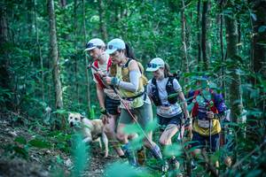 BIB: 
                            <button type="button" onclick="openModal(26640911)" class="btn btn-primary btn-sm float-right btn-popup" data-toggle="modal" data-target=".modal-high-quality">
                        <i class="fas fa-shopping-cart"></i> Add to Cart
                    </button>
                                            <button type="button" onclick="isThisMe(26640911, true)" class="btn btn-success btn-sm float-right btn-popup btn-isme hidden" data-toggle="tooltip" data-placement="bottom" title="นี่คือรูปของคุณใช่ไหม คลิกที่นี่เพื่อเอาเข้าอัลบั้ม">
                        <i class="fas fa-plus"></i> Add to album
                    </button>
                    <button type="button" onclick="isThisMe(26640911, false)" class="btn btn-warning btn-sm float-right btn-popup btn-isnotme hidden">
                        <i class="fas fa-ban"></i> Remove from album
                    </button>