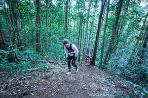 BIB: 
                            <button type="button" onclick="openModal(26639872)" class="btn btn-primary btn-sm float-right btn-popup" data-toggle="modal" data-target=".modal-high-quality">
                        <i class="fas fa-shopping-cart"></i> Add to Cart
                    </button>
                                            <button type="button" onclick="isThisMe(26639872, true)" class="btn btn-success btn-sm float-right btn-popup btn-isme hidden" data-toggle="tooltip" data-placement="bottom" title="นี่คือรูปของคุณใช่ไหม คลิกที่นี่เพื่อเอาเข้าอัลบั้ม">
                        <i class="fas fa-plus"></i> Add to album
                    </button>
                    <button type="button" onclick="isThisMe(26639872, false)" class="btn btn-warning btn-sm float-right btn-popup btn-isnotme hidden">
                        <i class="fas fa-ban"></i> Remove from album
                    </button>