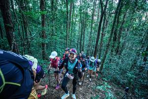 BIB: 
                            <button type="button" onclick="openModal(26644955)" class="btn btn-primary btn-sm float-right btn-popup" data-toggle="modal" data-target=".modal-high-quality">
                        <i class="fas fa-shopping-cart"></i> Add to Cart
                    </button>
                                            <button type="button" onclick="isThisMe(26644955, true)" class="btn btn-success btn-sm float-right btn-popup btn-isme hidden" data-toggle="tooltip" data-placement="bottom" title="นี่คือรูปของคุณใช่ไหม คลิกที่นี่เพื่อเอาเข้าอัลบั้ม">
                        <i class="fas fa-plus"></i> Add to album
                    </button>
                    <button type="button" onclick="isThisMe(26644955, false)" class="btn btn-warning btn-sm float-right btn-popup btn-isnotme hidden">
                        <i class="fas fa-ban"></i> Remove from album
                    </button>