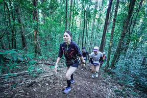 BIB: 
                            <button type="button" onclick="openModal(26641662)" class="btn btn-primary btn-sm float-right btn-popup" data-toggle="modal" data-target=".modal-high-quality">
                        <i class="fas fa-shopping-cart"></i> Add to Cart
                    </button>
                                            <button type="button" onclick="isThisMe(26641662, true)" class="btn btn-success btn-sm float-right btn-popup btn-isme hidden" data-toggle="tooltip" data-placement="bottom" title="นี่คือรูปของคุณใช่ไหม คลิกที่นี่เพื่อเอาเข้าอัลบั้ม">
                        <i class="fas fa-plus"></i> Add to album
                    </button>
                    <button type="button" onclick="isThisMe(26641662, false)" class="btn btn-warning btn-sm float-right btn-popup btn-isnotme hidden">
                        <i class="fas fa-ban"></i> Remove from album
                    </button>