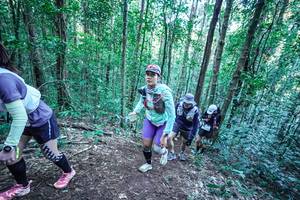 BIB: 
                            <button type="button" onclick="openModal(26656104)" class="btn btn-primary btn-sm float-right btn-popup" data-toggle="modal" data-target=".modal-high-quality">
                        <i class="fas fa-shopping-cart"></i> Add to Cart
                    </button>
                                            <button type="button" onclick="isThisMe(26656104, true)" class="btn btn-success btn-sm float-right btn-popup btn-isme hidden" data-toggle="tooltip" data-placement="bottom" title="นี่คือรูปของคุณใช่ไหม คลิกที่นี่เพื่อเอาเข้าอัลบั้ม">
                        <i class="fas fa-plus"></i> Add to album
                    </button>
                    <button type="button" onclick="isThisMe(26656104, false)" class="btn btn-warning btn-sm float-right btn-popup btn-isnotme hidden">
                        <i class="fas fa-ban"></i> Remove from album
                    </button>