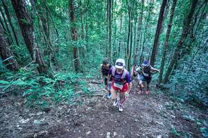 BIB: 
                            <button type="button" onclick="openModal(26639918)" class="btn btn-primary btn-sm float-right btn-popup" data-toggle="modal" data-target=".modal-high-quality">
                        <i class="fas fa-shopping-cart"></i> Add to Cart
                    </button>
                                            <button type="button" onclick="isThisMe(26639918, true)" class="btn btn-success btn-sm float-right btn-popup btn-isme hidden" data-toggle="tooltip" data-placement="bottom" title="นี่คือรูปของคุณใช่ไหม คลิกที่นี่เพื่อเอาเข้าอัลบั้ม">
                        <i class="fas fa-plus"></i> Add to album
                    </button>
                    <button type="button" onclick="isThisMe(26639918, false)" class="btn btn-warning btn-sm float-right btn-popup btn-isnotme hidden">
                        <i class="fas fa-ban"></i> Remove from album
                    </button>