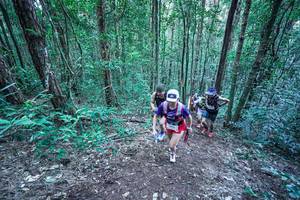 BIB: 
                            <button type="button" onclick="openModal(26639898)" class="btn btn-primary btn-sm float-right btn-popup" data-toggle="modal" data-target=".modal-high-quality">
                        <i class="fas fa-shopping-cart"></i> Add to Cart
                    </button>
                                            <button type="button" onclick="isThisMe(26639898, true)" class="btn btn-success btn-sm float-right btn-popup btn-isme hidden" data-toggle="tooltip" data-placement="bottom" title="นี่คือรูปของคุณใช่ไหม คลิกที่นี่เพื่อเอาเข้าอัลบั้ม">
                        <i class="fas fa-plus"></i> Add to album
                    </button>
                    <button type="button" onclick="isThisMe(26639898, false)" class="btn btn-warning btn-sm float-right btn-popup btn-isnotme hidden">
                        <i class="fas fa-ban"></i> Remove from album
                    </button>