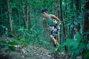 BIB: 
                            <button type="button" onclick="openModal(26664506)" class="btn btn-primary btn-sm float-right btn-popup" data-toggle="modal" data-target=".modal-high-quality">
                        <i class="fas fa-shopping-cart"></i> Add to Cart
                    </button>
                                            <button type="button" onclick="isThisMe(26664506, true)" class="btn btn-success btn-sm float-right btn-popup btn-isme hidden" data-toggle="tooltip" data-placement="bottom" title="นี่คือรูปของคุณใช่ไหม คลิกที่นี่เพื่อเอาเข้าอัลบั้ม">
                        <i class="fas fa-plus"></i> Add to album
                    </button>
                    <button type="button" onclick="isThisMe(26664506, false)" class="btn btn-warning btn-sm float-right btn-popup btn-isnotme hidden">
                        <i class="fas fa-ban"></i> Remove from album
                    </button>