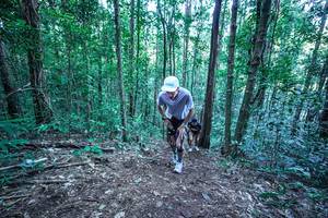 BIB: 
                            <button type="button" onclick="openModal(26639248)" class="btn btn-primary btn-sm float-right btn-popup" data-toggle="modal" data-target=".modal-high-quality">
                        <i class="fas fa-shopping-cart"></i> Add to Cart
                    </button>
                                            <button type="button" onclick="isThisMe(26639248, true)" class="btn btn-success btn-sm float-right btn-popup btn-isme hidden" data-toggle="tooltip" data-placement="bottom" title="นี่คือรูปของคุณใช่ไหม คลิกที่นี่เพื่อเอาเข้าอัลบั้ม">
                        <i class="fas fa-plus"></i> Add to album
                    </button>
                    <button type="button" onclick="isThisMe(26639248, false)" class="btn btn-warning btn-sm float-right btn-popup btn-isnotme hidden">
                        <i class="fas fa-ban"></i> Remove from album
                    </button>