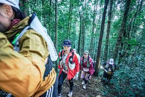 BIB: 
                            <button type="button" onclick="openModal(26661773)" class="btn btn-primary btn-sm float-right btn-popup" data-toggle="modal" data-target=".modal-high-quality">
                        <i class="fas fa-shopping-cart"></i> Add to Cart
                    </button>
                                            <button type="button" onclick="isThisMe(26661773, true)" class="btn btn-success btn-sm float-right btn-popup btn-isme hidden" data-toggle="tooltip" data-placement="bottom" title="นี่คือรูปของคุณใช่ไหม คลิกที่นี่เพื่อเอาเข้าอัลบั้ม">
                        <i class="fas fa-plus"></i> Add to album
                    </button>
                    <button type="button" onclick="isThisMe(26661773, false)" class="btn btn-warning btn-sm float-right btn-popup btn-isnotme hidden">
                        <i class="fas fa-ban"></i> Remove from album
                    </button>