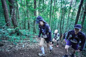 BIB: 
                            <button type="button" onclick="openModal(26656056)" class="btn btn-primary btn-sm float-right btn-popup" data-toggle="modal" data-target=".modal-high-quality">
                        <i class="fas fa-shopping-cart"></i> Add to Cart
                    </button>
                                            <button type="button" onclick="isThisMe(26656056, true)" class="btn btn-success btn-sm float-right btn-popup btn-isme hidden" data-toggle="tooltip" data-placement="bottom" title="นี่คือรูปของคุณใช่ไหม คลิกที่นี่เพื่อเอาเข้าอัลบั้ม">
                        <i class="fas fa-plus"></i> Add to album
                    </button>
                    <button type="button" onclick="isThisMe(26656056, false)" class="btn btn-warning btn-sm float-right btn-popup btn-isnotme hidden">
                        <i class="fas fa-ban"></i> Remove from album
                    </button>