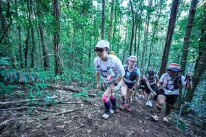 BIB: 
                            <button type="button" onclick="openModal(26652175)" class="btn btn-primary btn-sm float-right btn-popup" data-toggle="modal" data-target=".modal-high-quality">
                        <i class="fas fa-shopping-cart"></i> Add to Cart
                    </button>
                                            <button type="button" onclick="isThisMe(26652175, true)" class="btn btn-success btn-sm float-right btn-popup btn-isme hidden" data-toggle="tooltip" data-placement="bottom" title="นี่คือรูปของคุณใช่ไหม คลิกที่นี่เพื่อเอาเข้าอัลบั้ม">
                        <i class="fas fa-plus"></i> Add to album
                    </button>
                    <button type="button" onclick="isThisMe(26652175, false)" class="btn btn-warning btn-sm float-right btn-popup btn-isnotme hidden">
                        <i class="fas fa-ban"></i> Remove from album
                    </button>