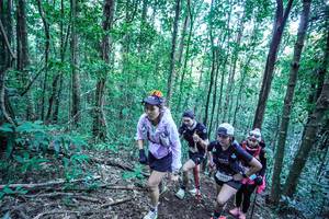 BIB: 
                            <button type="button" onclick="openModal(26651270)" class="btn btn-primary btn-sm float-right btn-popup" data-toggle="modal" data-target=".modal-high-quality">
                        <i class="fas fa-shopping-cart"></i> Add to Cart
                    </button>
                                            <button type="button" onclick="isThisMe(26651270, true)" class="btn btn-success btn-sm float-right btn-popup btn-isme hidden" data-toggle="tooltip" data-placement="bottom" title="นี่คือรูปของคุณใช่ไหม คลิกที่นี่เพื่อเอาเข้าอัลบั้ม">
                        <i class="fas fa-plus"></i> Add to album
                    </button>
                    <button type="button" onclick="isThisMe(26651270, false)" class="btn btn-warning btn-sm float-right btn-popup btn-isnotme hidden">
                        <i class="fas fa-ban"></i> Remove from album
                    </button>