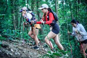 BIB: 
                            <button type="button" onclick="openModal(26644416)" class="btn btn-primary btn-sm float-right btn-popup" data-toggle="modal" data-target=".modal-high-quality">
                        <i class="fas fa-shopping-cart"></i> Add to Cart
                    </button>
                                            <button type="button" onclick="isThisMe(26644416, true)" class="btn btn-success btn-sm float-right btn-popup btn-isme hidden" data-toggle="tooltip" data-placement="bottom" title="นี่คือรูปของคุณใช่ไหม คลิกที่นี่เพื่อเอาเข้าอัลบั้ม">
                        <i class="fas fa-plus"></i> Add to album
                    </button>
                    <button type="button" onclick="isThisMe(26644416, false)" class="btn btn-warning btn-sm float-right btn-popup btn-isnotme hidden">
                        <i class="fas fa-ban"></i> Remove from album
                    </button>