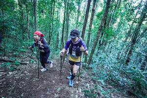 BIB: 
                            <button type="button" onclick="openModal(26657290)" class="btn btn-primary btn-sm float-right btn-popup" data-toggle="modal" data-target=".modal-high-quality">
                        <i class="fas fa-shopping-cart"></i> Add to Cart
                    </button>
                                            <button type="button" onclick="isThisMe(26657290, true)" class="btn btn-success btn-sm float-right btn-popup btn-isme hidden" data-toggle="tooltip" data-placement="bottom" title="นี่คือรูปของคุณใช่ไหม คลิกที่นี่เพื่อเอาเข้าอัลบั้ม">
                        <i class="fas fa-plus"></i> Add to album
                    </button>
                    <button type="button" onclick="isThisMe(26657290, false)" class="btn btn-warning btn-sm float-right btn-popup btn-isnotme hidden">
                        <i class="fas fa-ban"></i> Remove from album
                    </button>