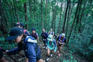 BIB: 
                            <button type="button" onclick="openModal(26645090)" class="btn btn-primary btn-sm float-right btn-popup" data-toggle="modal" data-target=".modal-high-quality">
                        <i class="fas fa-shopping-cart"></i> Add to Cart
                    </button>
                                            <button type="button" onclick="isThisMe(26645090, true)" class="btn btn-success btn-sm float-right btn-popup btn-isme hidden" data-toggle="tooltip" data-placement="bottom" title="นี่คือรูปของคุณใช่ไหม คลิกที่นี่เพื่อเอาเข้าอัลบั้ม">
                        <i class="fas fa-plus"></i> Add to album
                    </button>
                    <button type="button" onclick="isThisMe(26645090, false)" class="btn btn-warning btn-sm float-right btn-popup btn-isnotme hidden">
                        <i class="fas fa-ban"></i> Remove from album
                    </button>