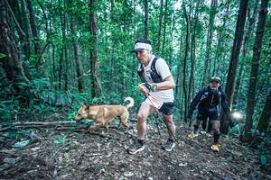 BIB: 
                            <button type="button" onclick="openModal(26651317)" class="btn btn-primary btn-sm float-right btn-popup" data-toggle="modal" data-target=".modal-high-quality">
                        <i class="fas fa-shopping-cart"></i> Add to Cart
                    </button>
                                            <button type="button" onclick="isThisMe(26651317, true)" class="btn btn-success btn-sm float-right btn-popup btn-isme hidden" data-toggle="tooltip" data-placement="bottom" title="นี่คือรูปของคุณใช่ไหม คลิกที่นี่เพื่อเอาเข้าอัลบั้ม">
                        <i class="fas fa-plus"></i> Add to album
                    </button>
                    <button type="button" onclick="isThisMe(26651317, false)" class="btn btn-warning btn-sm float-right btn-popup btn-isnotme hidden">
                        <i class="fas fa-ban"></i> Remove from album
                    </button>