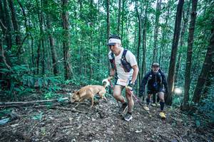 BIB: 
                            <button type="button" onclick="openModal(26651309)" class="btn btn-primary btn-sm float-right btn-popup" data-toggle="modal" data-target=".modal-high-quality">
                        <i class="fas fa-shopping-cart"></i> Add to Cart
                    </button>
                                            <button type="button" onclick="isThisMe(26651309, true)" class="btn btn-success btn-sm float-right btn-popup btn-isme hidden" data-toggle="tooltip" data-placement="bottom" title="นี่คือรูปของคุณใช่ไหม คลิกที่นี่เพื่อเอาเข้าอัลบั้ม">
                        <i class="fas fa-plus"></i> Add to album
                    </button>
                    <button type="button" onclick="isThisMe(26651309, false)" class="btn btn-warning btn-sm float-right btn-popup btn-isnotme hidden">
                        <i class="fas fa-ban"></i> Remove from album
                    </button>