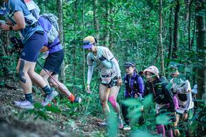 BIB: 
                            <button type="button" onclick="openModal(26643930)" class="btn btn-primary btn-sm float-right btn-popup" data-toggle="modal" data-target=".modal-high-quality">
                        <i class="fas fa-shopping-cart"></i> Add to Cart
                    </button>
                                            <button type="button" onclick="isThisMe(26643930, true)" class="btn btn-success btn-sm float-right btn-popup btn-isme hidden" data-toggle="tooltip" data-placement="bottom" title="นี่คือรูปของคุณใช่ไหม คลิกที่นี่เพื่อเอาเข้าอัลบั้ม">
                        <i class="fas fa-plus"></i> Add to album
                    </button>
                    <button type="button" onclick="isThisMe(26643930, false)" class="btn btn-warning btn-sm float-right btn-popup btn-isnotme hidden">
                        <i class="fas fa-ban"></i> Remove from album
                    </button>